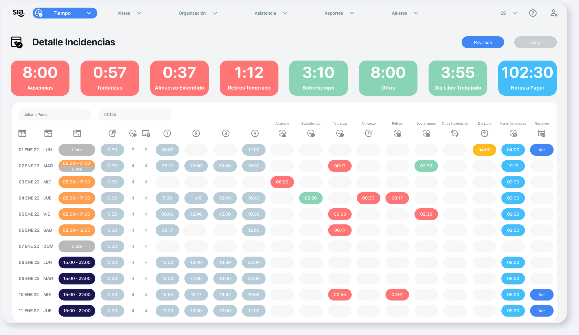 Gestión de incidencias SIA 04